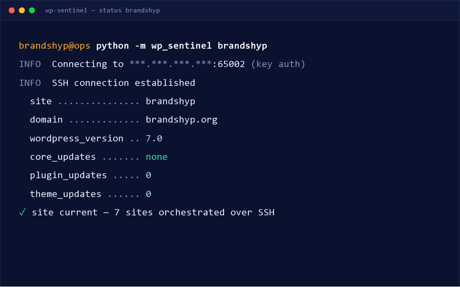 wp-sentinel CLI status output for brandshyp.org showing WordPress version and zero pending core, plugin, and theme updates
